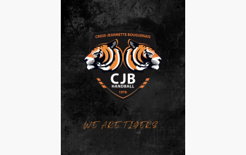 📊 LE POINT SUR LES CLASSEMENTS 🐯