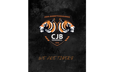 📊 LE POINT SUR LES CLASSEMENTS 🐯